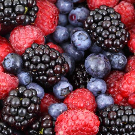 Food forest blueberries raspberries 87818